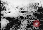 Standbild Viet Cong Soldaten Vietnam, 1967, aus Sekunde 35 historischem Filmmaterial Videoclip 65675043147