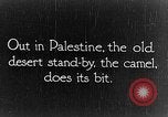 Image of General Allenby Palestine, 1917, second 1 stock footage video 65675043155