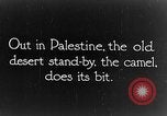 Image of General Allenby Palestine, 1917, second 3 stock footage video 65675043155