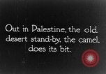 Image of General Allenby Palestine, 1917, second 4 stock footage video 65675043155