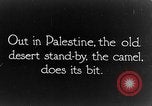 Image of General Allenby Palestine, 1917, second 5 stock footage video 65675043155