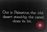 Image of General Allenby Palestine, 1917, second 6 stock footage video 65675043155