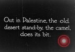 Image of General Allenby Palestine, 1917, second 7 stock footage video 65675043155