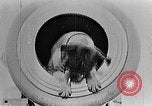 Image of King George V Orkney Islands Scotland, 1917, second 54 stock footage video 65675043156