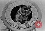 Image of King George V Orkney Islands Scotland, 1917, second 57 stock footage video 65675043156