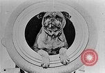 Image of King George V Orkney Islands Scotland, 1917, second 58 stock footage video 65675043156