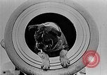 Image of King George V Orkney Islands Scotland, 1917, second 62 stock footage video 65675043156