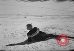 Standbild Studenten manövrieren Pole bei Ski Patrol Schule Berchtesgaden Deutschland, 1957, aus Sekunde 44 historischem Filmmaterial Videoclip 65675043163