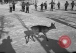 Image skieurs exerçant à l'école de patrouille de ski aux États-Unis Berchtesgaden Allemagne, 1957, de la seconde 15 séquences d'archives historiques vidéo 65675043167