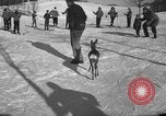 Image skieurs exerçant à l'école de patrouille de ski aux États-Unis Berchtesgaden Allemagne, 1957, de la seconde 17 séquences d'archives historiques vidéo 65675043167