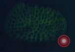 Image of Biological samples in deep ocean floor drilling cores United States USA, 1974, second 46 stock footage video 65675043174