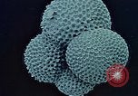 Image of Biological samples in deep ocean floor drilling cores United States USA, 1974, second 60 stock footage video 65675043174