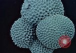 Image of Biological samples in deep ocean floor drilling cores United States USA, 1974, second 62 stock footage video 65675043174