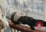 Immagine di Soldati della NATO in "Arctic Express" esercizi Norvegia, 1970, secondo 34 filmato di repertorio 65675043181