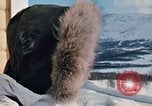 Immagine di Soldati della NATO in "Arctic Express" esercizi Norvegia, 1970, secondo 39 filmato di repertorio 65675043181