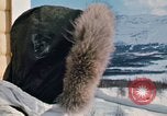 Immagine di Soldati della NATO in "Arctic Express" esercizi Norvegia, 1970, secondo 40 filmato di repertorio 65675043181