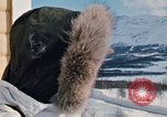 Immagine di Soldati della NATO in "Arctic Express" esercizi Norvegia, 1970, secondo 41 filmato di repertorio 65675043181