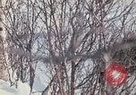Immagine di Soldati della NATO in "Arctic Express" esercizi Norvegia, 1970, secondo 51 filmato di repertorio 65675043181