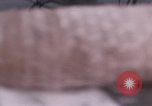 Image of Research bell Newport Rhode Island USA, 1963, second 3 stock footage video 65675043190