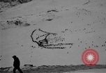 Image of Ski patrolmen Garmisch-Partenkirchen Germany, 1965, second 31 stock footage video 65675043201