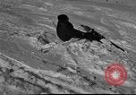 Image of Ski patrolmen Garmisch-Partenkirchen Germany, 1965, second 1 stock footage video 65675043204