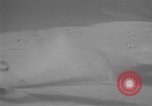 Image of Saint Bernard protecting skiers Garmisch-Partenkirchen Germany, 1965, second 11 stock footage video 65675043210