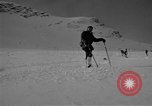 Image of Saint Bernard protecting skiers Garmisch-Partenkirchen Germany, 1965, second 31 stock footage video 65675043210
