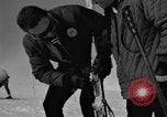 Image of Saint Bernard protecting skiers Garmisch-Partenkirchen Germany, 1965, second 44 stock footage video 65675043210