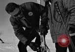 Image of Saint Bernard protecting skiers Garmisch-Partenkirchen Germany, 1965, second 45 stock footage video 65675043210