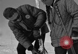 Image of Saint Bernard protecting skiers Garmisch-Partenkirchen Germany, 1965, second 48 stock footage video 65675043210