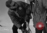 Image of Saint Bernard protecting skiers Garmisch-Partenkirchen Germany, 1965, second 50 stock footage video 65675043210