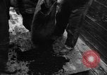 Image of C-54 Skymaster Frankfurt Germany, 1948, second 55 stock footage video 65675043224