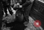 Image of C-54 Skymaster Frankfurt Germany, 1948, second 59 stock footage video 65675043224