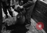 Image of C-54 Skymaster Frankfurt Germany, 1948, second 60 stock footage video 65675043224