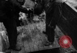 Image of C-54 Skymaster Frankfurt Germany, 1948, second 1 stock footage video 65675043225