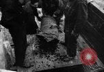 Image of C-54 Skymaster Frankfurt Germany, 1948, second 3 stock footage video 65675043225