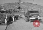 Image of United States military trucks Korea, 1954, second 55 stock footage video 65675043228