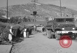 Image of United States military trucks Korea, 1954, second 59 stock footage video 65675043228