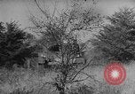 Standbild 66 Vereinigten Staaten Infanterie Panzer Fort Meade Maryland USA, 1938, aus Sekunde 50 historischem Filmmaterial Videoclip 65675043242