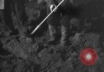 Standbild mechanische Pflug Churt England, 1938, aus Sekunde 24 historischem Filmmaterial Videoclip 65675043244