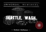 Standbild Apple bobbing Seattle Washington USA, 1938, aus Sekunde 1 historischem Filmmaterial Videoclip 65675043245