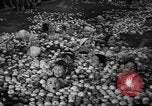 Standbild Apple bobbing Seattle Washington USA, 1938, aus Sekunde 21 historischem Filmmaterial Videoclip 65675043245