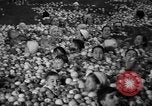 Standbild Apple bobbing Seattle Washington USA, 1938, aus Sekunde 23 historischem Filmmaterial Videoclip 65675043245