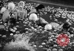 Standbild Apple bobbing Seattle Washington USA, 1938, aus Sekunde 29 historischem Filmmaterial Videoclip 65675043245