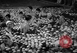 Standbild Apple bobbing Seattle Washington USA, 1938, aus Sekunde 31 historischem Filmmaterial Videoclip 65675043245