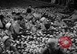 Standbild Apple bobbing Seattle Washington USA, 1938, aus Sekunde 32 historischem Filmmaterial Videoclip 65675043245