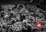 Standbild Apple bobbing Seattle Washington USA, 1938, aus Sekunde 33 historischem Filmmaterial Videoclip 65675043245