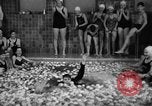 Standbild Apple bobbing Seattle Washington USA, 1938, aus Sekunde 39 historischem Filmmaterial Videoclip 65675043245