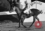 Image of Seabiscuit Maryland United States USA, 1938, second 16 stock footage video 65675043249
