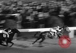 Image of Seabiscuit Maryland United States USA, 1938, second 38 stock footage video 65675043249